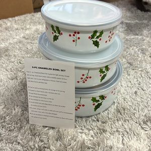 6 piece Enameled Bowl Sets